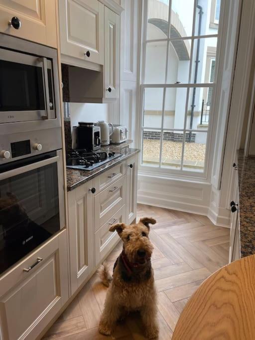 Whitehall, Thomas Turnbull Flat 3 Beautiful Apartment In Georgian House Whitby Eksteriør bilde